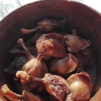 Confits de canard maison pas à pas : préparer les canards gras