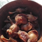 Confits de canard maison pas à pas : préparer les canards gras Confits de canard maison pas à pas : préparer les canards gras