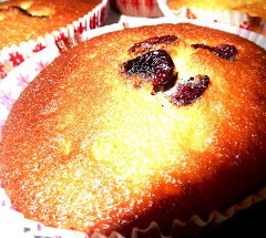 muffin canneberge